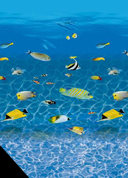 /album/estampas/aquarium-dias-e-dias-png1/